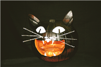 Bad Kitty
