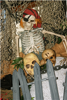 29